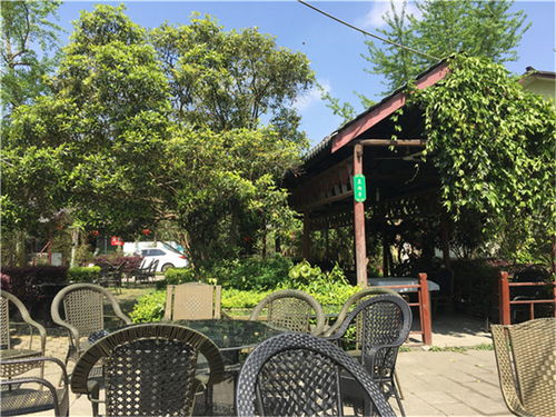 值得推薦的團建場地,就在這家三圣鄉農家樂