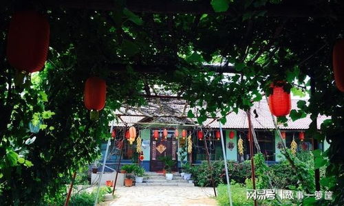 曾經火爆的農家樂,為何現在無人問津了,問題出在哪