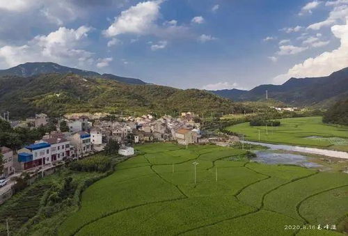 山環水抱柳絲蕩,上灣人家畫里藏