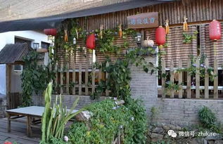 搞個小型農家樂需要投資多少