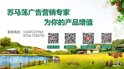 蘇馬蕩精品農家樂宣傳手冊全面招商中
