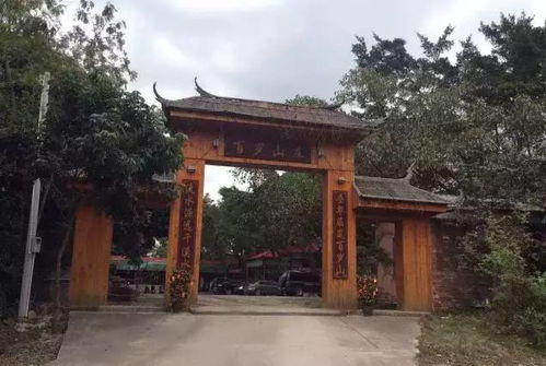 終于找全了杭州人最愛去的農(nóng)家樂 垂釣劃船 摘菜做飯...像到了另一時(shí)空