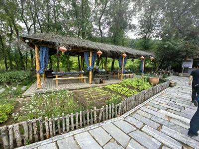 特色農家樂 讓小村莊變了模樣