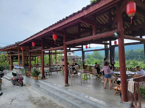 農(nóng)家樂迎 關(guān)門潮 ,之前生意火爆,如今為何紛紛關(guān)門歇業(yè)