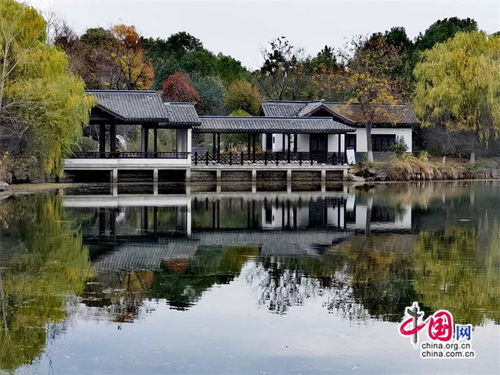 高舜禮 農文旅融合發展的成敗之道 組圖