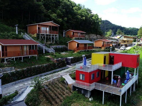 紅色高橋丨2020年農業產業發展圖景