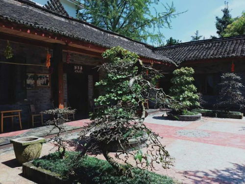 中國十大名村 農(nóng)科村第4次創(chuàng)業(yè),以整村運(yùn)營結(jié)束老舊農(nóng)家樂時(shí)代